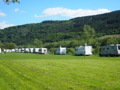 P5123486 (Medium) (1).JPG P5123486 (Medium) (1).JPG