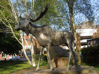 DSCN0144.JPG DSCN0144.JPG