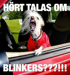 roliga-bilder-blinkers-700x744.jpg roliga-bilder-blinkers-700x744.jpg