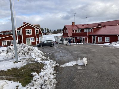 75C40428-4F96-417E-8A9C-B2044B81EB7E.jpeg 75C40428-4F96-417E-8A9C-B2044B81EB7E.jpeg