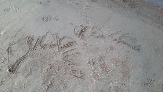 20210227_162542 - kopia - kopia.jpg 20210227_162542 - kopia - kopia.jpg