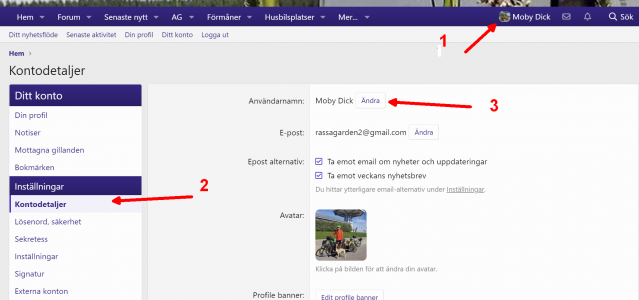 Screen Shot 2021-03-25 at 19.55.png