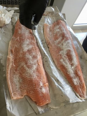 1616862288006.jpeg 1616862288006.jpeg