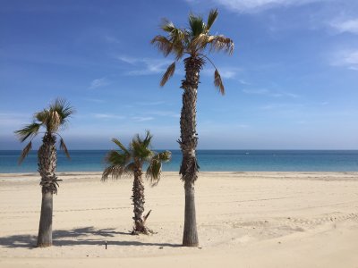 1616935026046.jpeg 1616935026046.jpeg