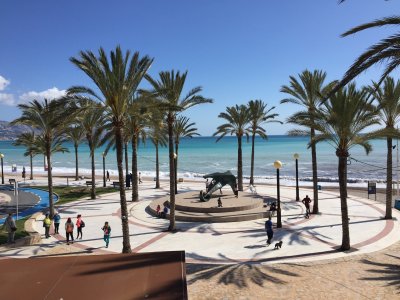 1617173914551.jpeg 1617173914551.jpeg