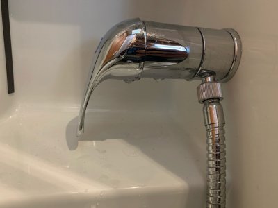 IMG_5886.jpeg IMG_5886.jpeg