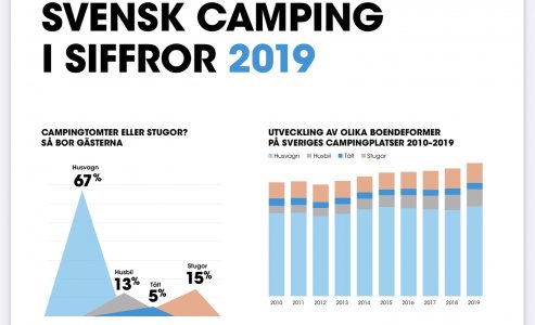 2020 blev ett mycket annorlunda år