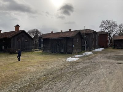 6891D082-78BB-457C-A58D-0BFF69E843B1.jpeg 6891D082-78BB-457C-A58D-0BFF69E843B1.jpeg