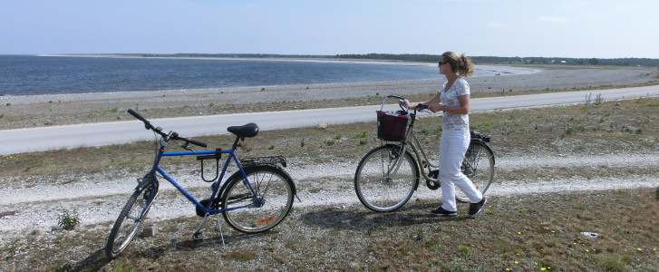 1617616781358.png 1617616781358.png