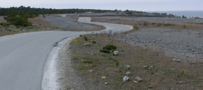 1617622598728.png 1617622598728.png