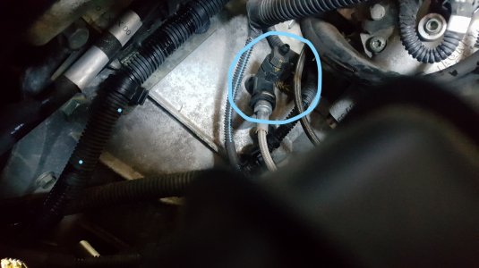 Inked20210409_115926_resized (002)_LI.jpg Inked20210409_115926_resized (002)_LI.jpg