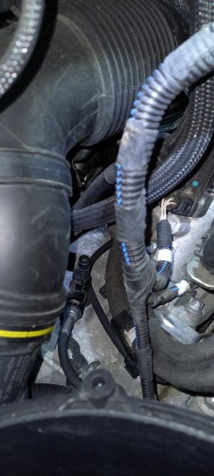 20210409_145557.jpg 20210409_145557.jpg