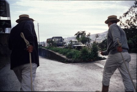 Madeira99-061.jpg