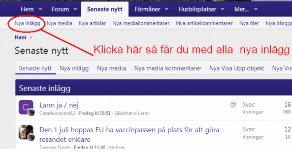 1618740349972.png 1618740349972.png