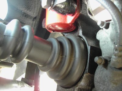 PICT0229.JPG PICT0229.JPG