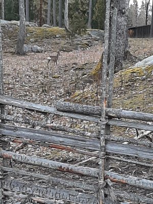 20210502_062454.jpg 20210502_062454.jpg