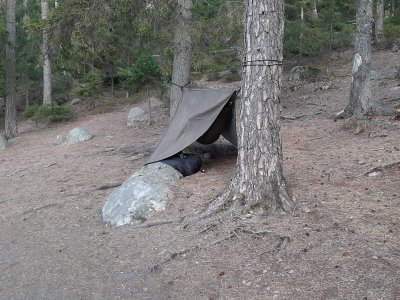 20210502_072903.jpg 20210502_072903.jpg