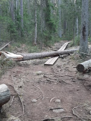 20210503_070147.jpg 20210503_070147.jpg