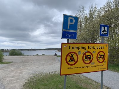 35261B6C-FFAD-411F-8249-0DCAD507E505.jpeg 35261B6C-FFAD-411F-8249-0DCAD507E505.jpeg