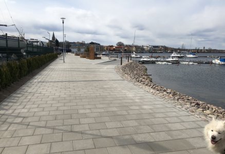 IMG_4484.jpg IMG_4484.jpg