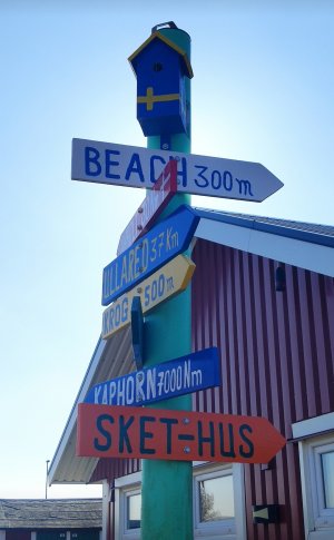 IMG_20210518_214910.jpg IMG_20210518_214910.jpg