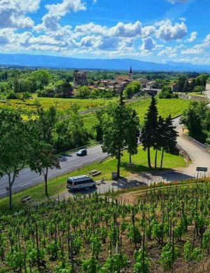 EE145971-B6CE-4DE5-8CD8-D9F18DDA3389.jpeg EE145971-B6CE-4DE5-8CD8-D9F18DDA3389.jpeg