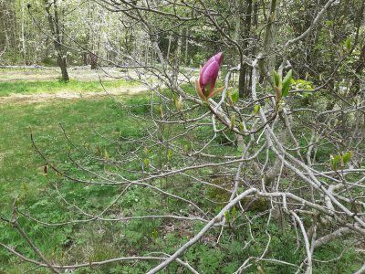 20210521_165212.jpg 20210521_165212.jpg