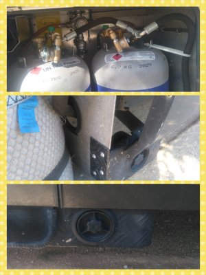 collage-1621845430684.jpg collage-1621845430684.jpg