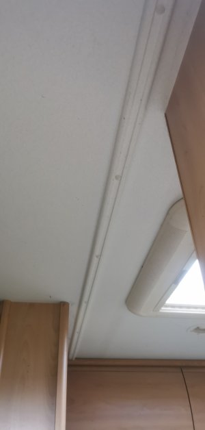 IMG_20210526_181552.jpg IMG_20210526_181552.jpg