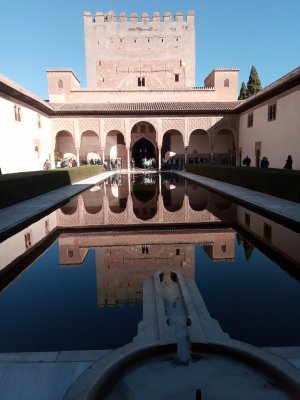 IMG_20200221_105051.jpg IMG_20200221_105051.jpg