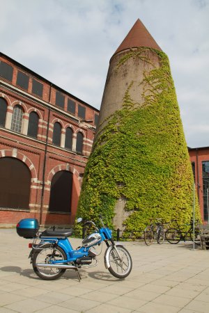 IMG_0729.JPG IMG_0729.JPG