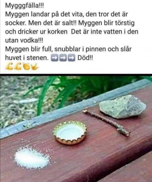 1624618843897.png 1624618843897.png