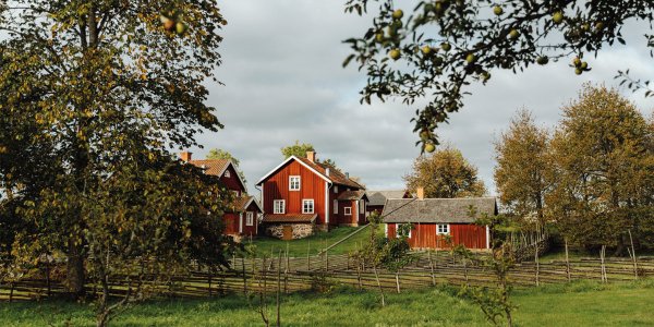 8FA46635-D925-40B5-9D40-54F54191B437.jpeg 8FA46635-D925-40B5-9D40-54F54191B437.jpeg