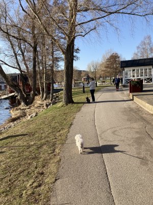 06573340-7EC6-4B53-999A-10FCBA1FC70E.jpeg 06573340-7EC6-4B53-999A-10FCBA1FC70E.jpeg