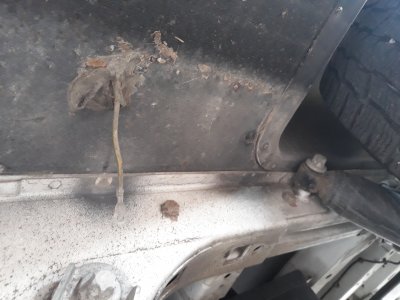 20210706_155822.jpg 20210706_155822.jpg