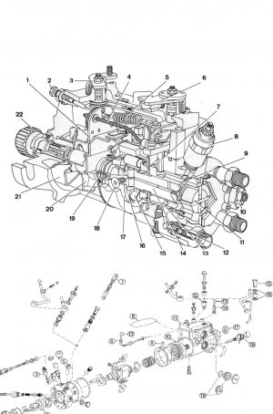 1625923343377.jpeg 1625923343377.jpeg