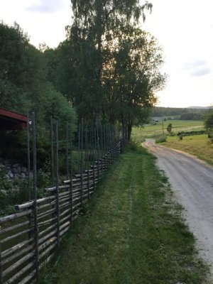 71F898D4-43B2-420C-922C-5BA2F56F678A.jpeg 71F898D4-43B2-420C-922C-5BA2F56F678A.jpeg