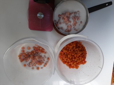20210718_163304.jpg