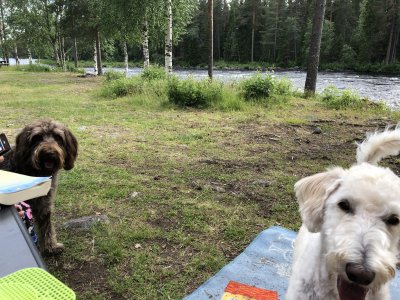 IMG_0893.jpeg IMG_0893.jpeg