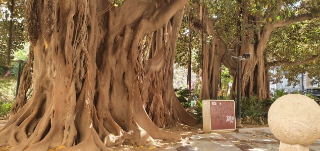 20210722_162639 (1).jpg