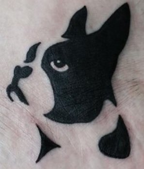 Bostonterrier.jpg Bostonterrier.jpg