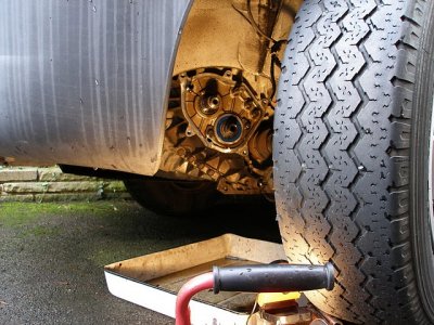 P8010144.JPG P8010144.JPG