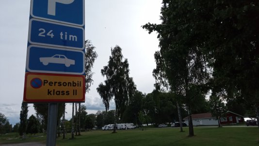 IMG_20210806_173004.jpg IMG_20210806_173004.jpg