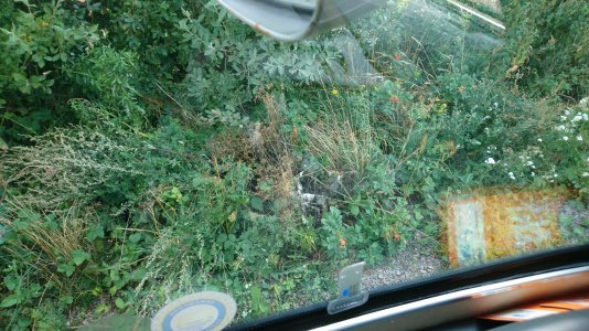 DSC_0008_copy_2393x1346.jpg DSC_0008_copy_2393x1346.jpg