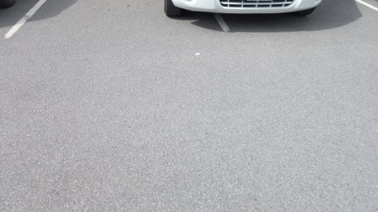 IMG_20210810_123352.jpg IMG_20210810_123352.jpg