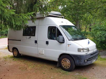 Viola-HBK-210816.jpg Viola-HBK-210816.jpg