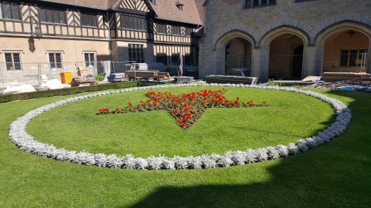 20170807_100537.jpg 20170807_100537.jpg