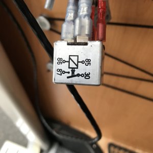 1629826383132.jpeg 1629826383132.jpeg