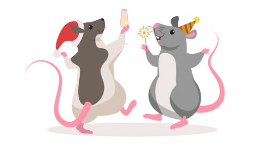 1630004427141.jpeg 1630004427141.jpeg