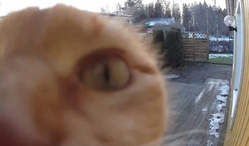 B94E358B-F67F-4DAE-9883-6BADAC59674B.jpeg B94E358B-F67F-4DAE-9883-6BADAC59674B.jpeg